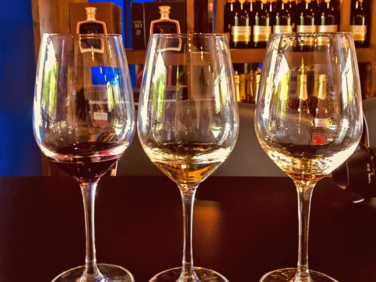 Discovering the Wine Regions of Portugal