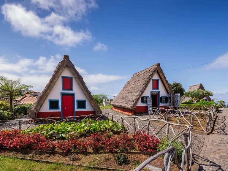 Discover the Magic of Madeira